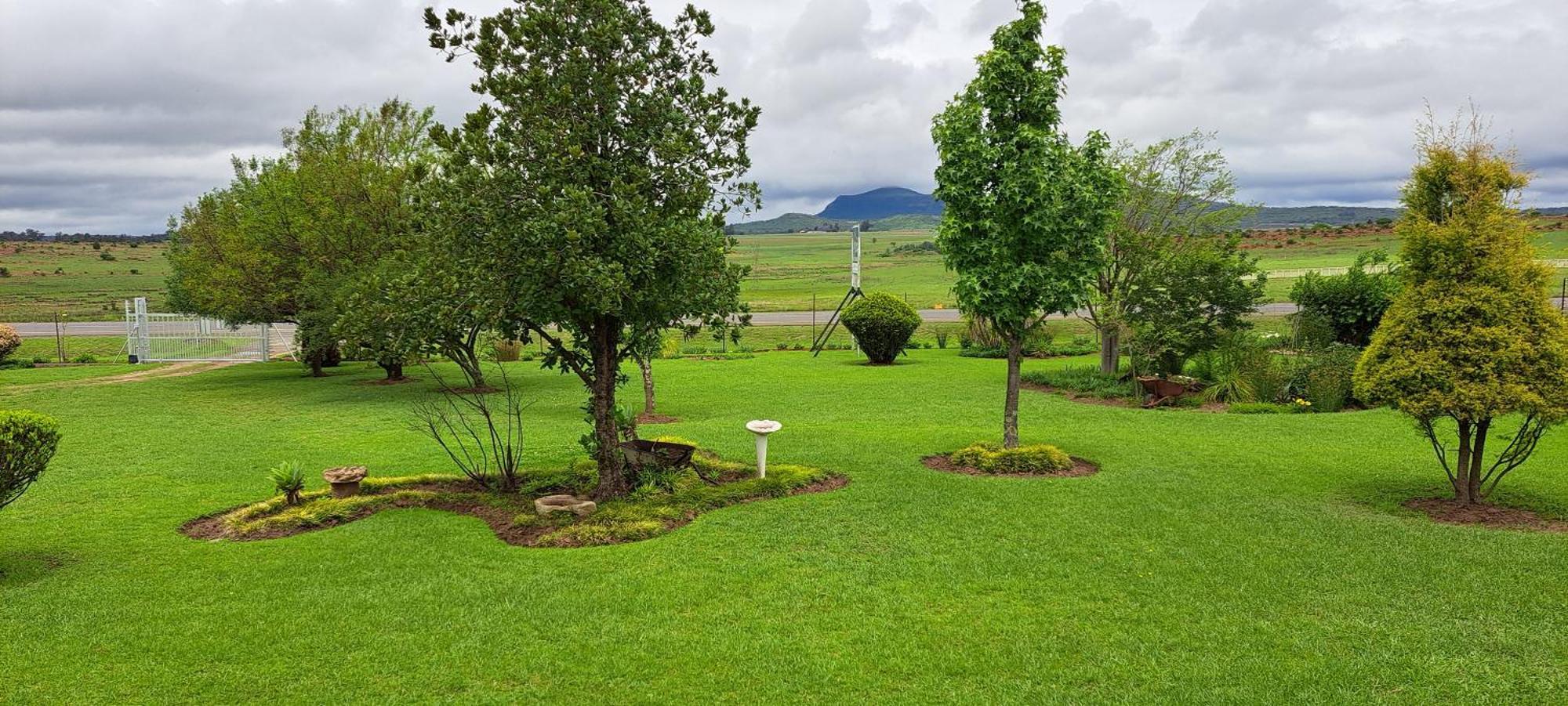 Mountain View Guest House Dundee Dış mekan fotoğraf