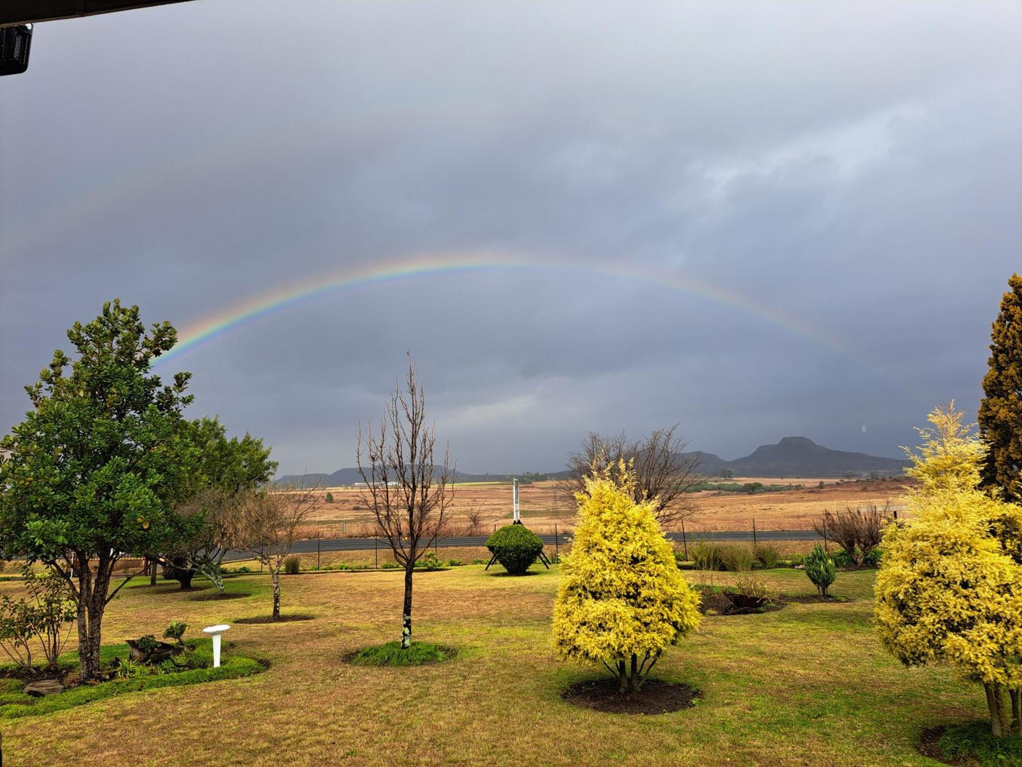 Mountain View Guest House Dundee Dış mekan fotoğraf